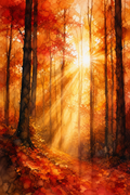 Lumière d'Automne